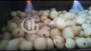 Brush Peeling Machine &ndash; Potato Processing in Pakistan