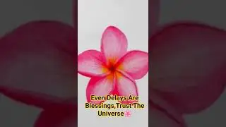 #Trust the Universer...Even delays are blessings🌸