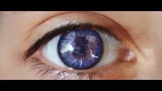 Festival Showreel | NIFF 2017