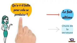 Arbre des causes