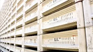 Prima Frutta Customer Testimonial | Macro Plastics