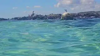 Days 10 + 11 Caleta Tankah and Scuba Diving