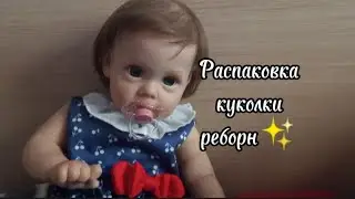 ✨распаковка реборна молд Мегги. Мой подарок на новый год✨