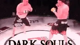 D Sals - Mlg super gameplay (dark souls 2)