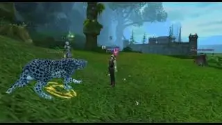 Perfect World International  Neverfall