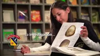 Video UMNG con m&uacute;sica