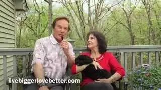Great Way to Fill the Empty Nest