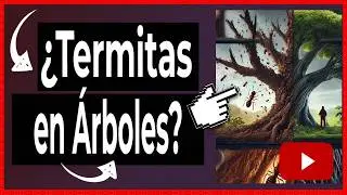 🔴 C&oacute;mo ELIMINAR TERMITAS de un &Aacute;RBOL