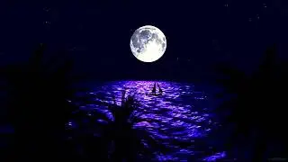 Free Stock Footage Slow Motion Videos Royalty-Free No Copyright + Download Link | Longet Studio|
