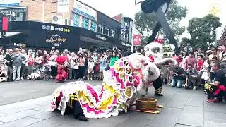 CYSM &ndash; Lion Dance - Box Hill Central Shopping Centre (Vicinity Centres)