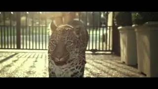 MW Magnum Animals 2m10s