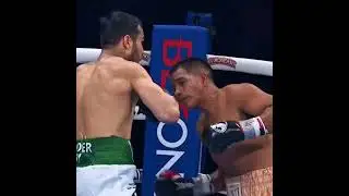 Шахрам Гиясов Чемп #boxing #бой #box #khabib #reels #sports #рекомендации