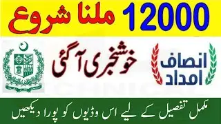 12000 Insaaf Imdad Cash Program Update | check Insaaf imdad application status