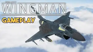 Project Wingman - GAMEPLAY