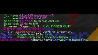 Sub-30s T4 Enderman Slayer Kill