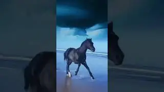 Incredible #horsedits#horsegalloping#goviralshorts#fyp#shorts#edits