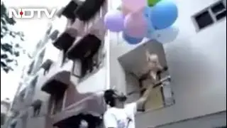 Delhi YouTuber Arrested For Flying Dog With Hydrogen Balloons In Video