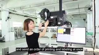 dimensioning weighing scanning systems dws system sorting line shipping label scanner and printer