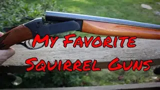 My Favorite Squirrel Guns