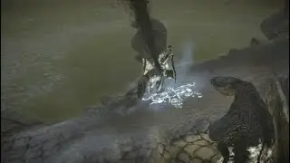 Shadow of the colossus 8th boss Kuromori