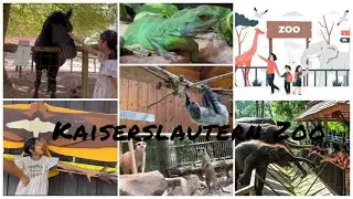 Kaiserslautern zoo | Germany ka chota sa Zoo | open animals ko dekh kr bachay khush | mom in Germany