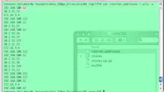 Unix 101 Commands: uniq (unique)