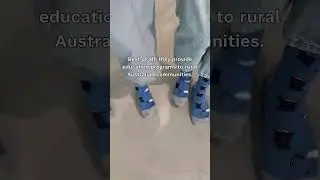 Bin Chicken Socks 🤣