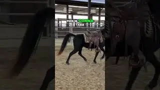 Training Challenges: How We Communicate With A Horse