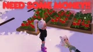Need money/Need new hobby / Heartopia