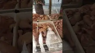 Turkey Main chicken Ka Rate Rate#Turkey#ChickenPrice
