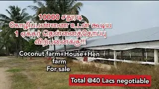 (Sold)Agri Land #67 | 10000 சதுரடி கோழிப்பண்ணை உடன் கூடிய 1 ஏக்கர் தென்னைத்தோப்பு விற்பனைக்கு!!!