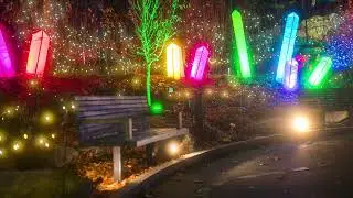Know Before You Go: Night Lights 2025