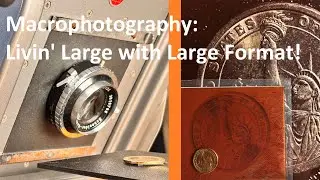 Macrophotography Explained - and How I did it on a Large Format Film Camera