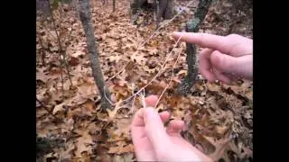 Surviving With Dental Floss