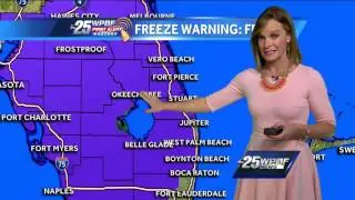 Cold air invades South Florida, freeze warnings Thursday night