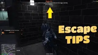 Ziggy vs Summit1g 