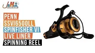 Penn SSVI6500LL Spinfisher VI Live Liner Spinning Reel | J&H Tackle