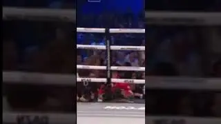 Anesongib vs Jarvis