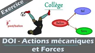 Exercice corrigé ✔️: DOI, actions mécaniques et forces | Physique chimie | Collège