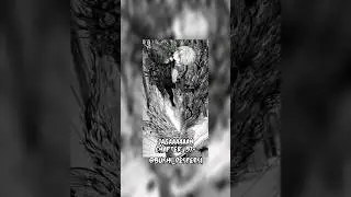 my top 5 dark manga #manga#topmanga#darkmanga#darkworld#darkedit#jagaaan#abara#claymore#greenblood