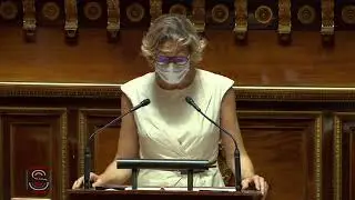 PJL 3DS - Explications de vote