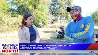 ABRA: Presio ti white corn iti probinsia, bimmaba itan a nangrugi ti kapigsa ti panagapit