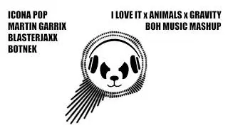 I Love It X Animals X Gravity (BOH MUSIC MASHUP) - Icona Pop X Martin Garrix X Blasterjaxx X Botnek
