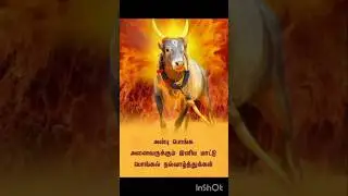 #பொங்கட்டும்_ இல்லங்கள்_தோறும்_ஆனந்தம்#pakthi #devotional #festival#god  #temple#tamil #trend #song