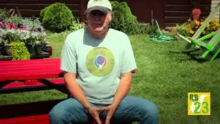Roots TV Peter North pt2 Interview