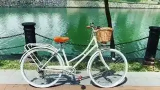 Japan imported Shimano 7-speed transmission