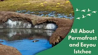 How Is Permafrost Thaw Affecting Eeyou Istchee?
