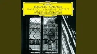 Bruckner: Mass No. 1 in D Minor, WAB 26: I. Kyrie
