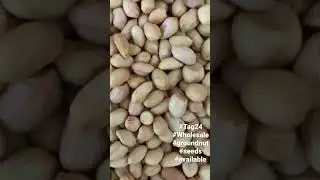 #fresh #groundnut #seeds #new #trending #quality #wholesale #oil #farming #agriculture #best