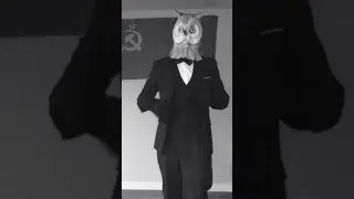 The Purple People's Owl 🦉- No Shit Sherlock Holmes 👏